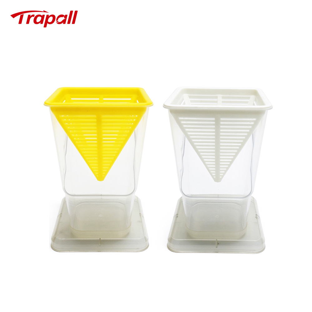 Home Kitchen Reusable Insects Bug Live Catch Release Fruit Fly Yellow Attraction Design Fruit Fly Trap
